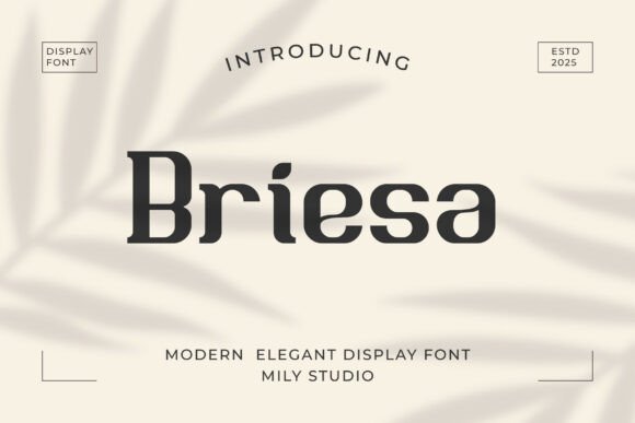 Briesa: A Warm Display Font for Modern Editorial Design