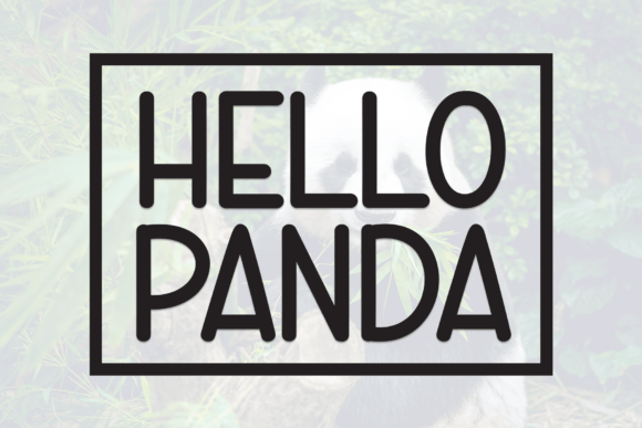 Build a Fun Brand Identity with Hello Panda Display Fonts