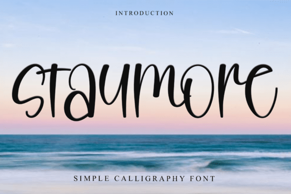 Staymore: A Soft Display Font for Modern Brand Identity